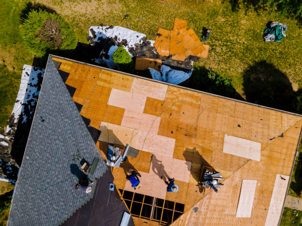 Best Commercial Roofing Services  in Ridgely, MD