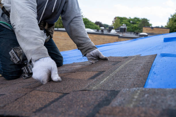 Quick and Trustworthy Emergency Roof Repair Services in Ridgely, MD