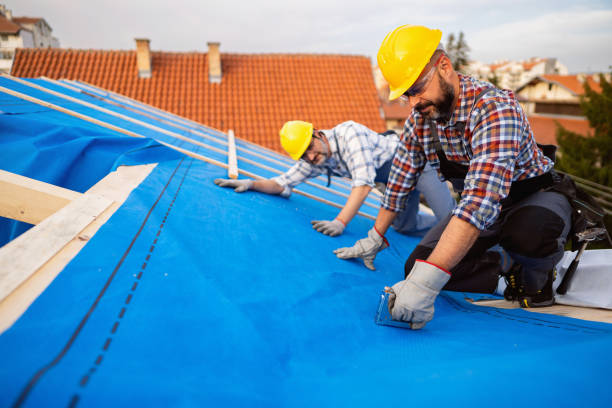 Best Local Roofing Companies  in Ridgely, MD