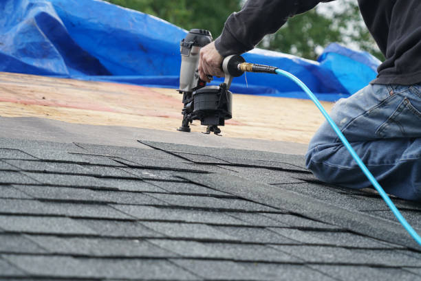 Best Storm Damage Roof Repair  in Ridgely, MD